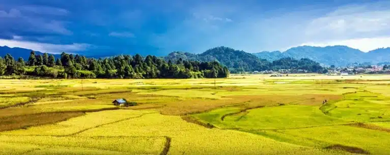 Glamping domes: Discover the best luxury glamping experiences in India & around the world