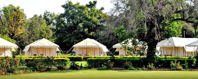 Glamping domes: Discover the best luxury glamping experiences in India & around the world