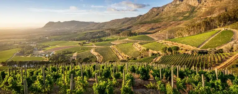 Best Countries to Visit in November