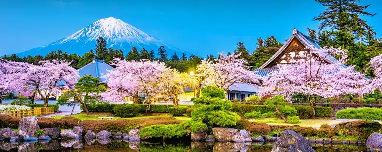 Top International Honeymoon Packages: Romantic escapes around the world