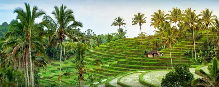 Tourist Destinations near India: Best international countries to visit without long-haul flights