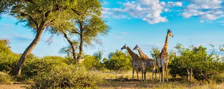 Best country to visit in October