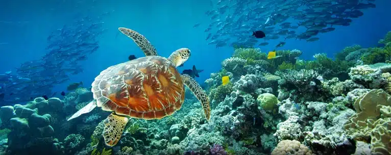 Best countries to visit in December