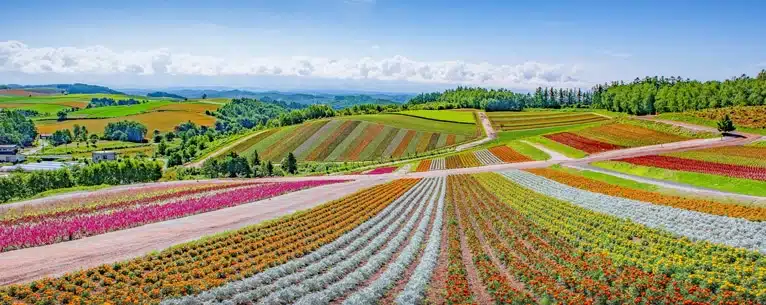 Best honeymoon destinations in the world – Romantic escapes you’ll never forget