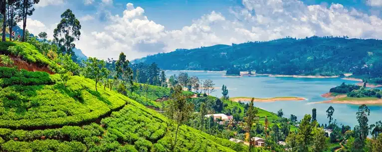 Top International Honeymoon Packages: Romantic escapes around the world