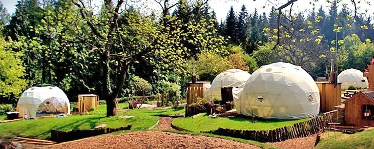 Glamping domes: Discover the best luxury glamping experiences in India & around the world