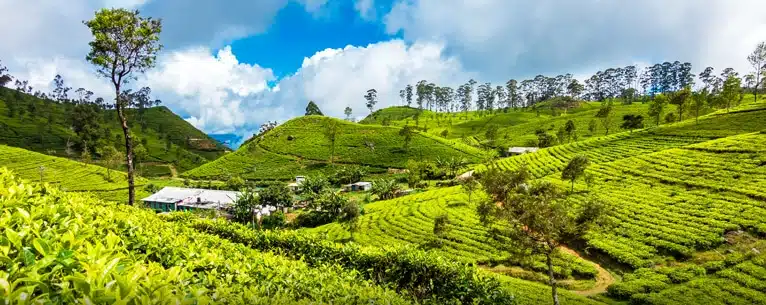 Best honeymoon destinations in the world – Romantic escapes you’ll never forget