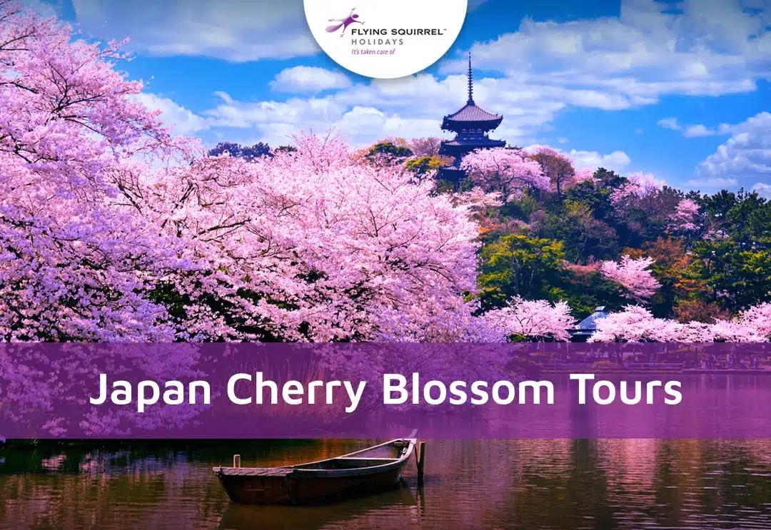 Japan Cherry Blossom Tours from India