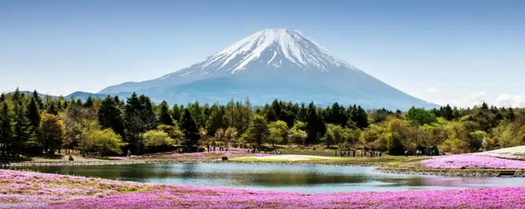 Japan tourist visa for Indian citizens requirements and process