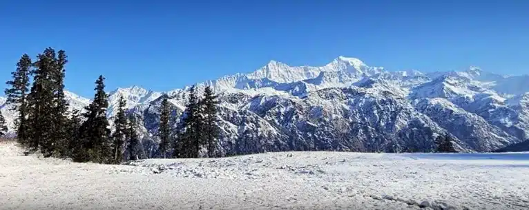 Valley of flowers in winter: Alternative destinations and peak bloom guide