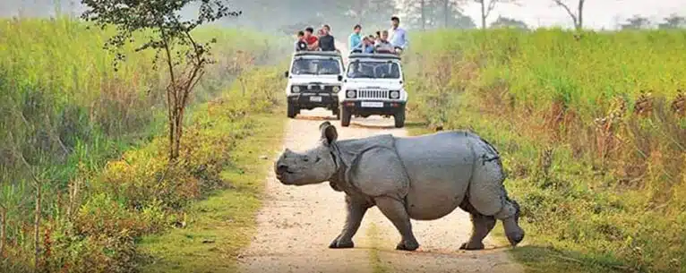 Top Guided Tours in India – Explore the country with expert insights