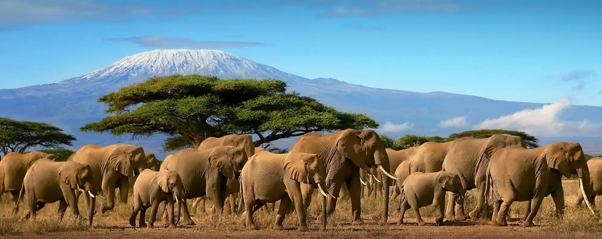 Kenya tour package with national parks and game drives