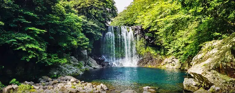 South Korea travel tour packages: Explore the land of K-pop, culture & cuisine