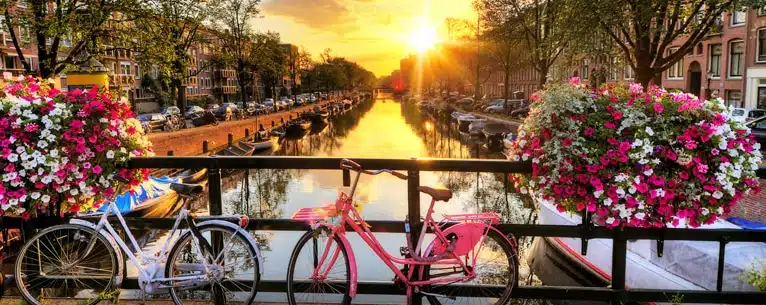 Tulips in Amsterdam: Your guide to these magnificent blooms