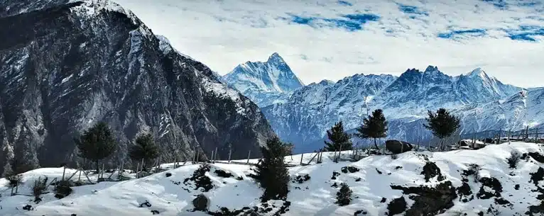 Valley of flowers in winter: Alternative destinations and peak bloom guide