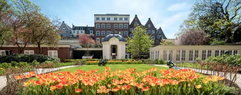 Netherlands tulip travel guide