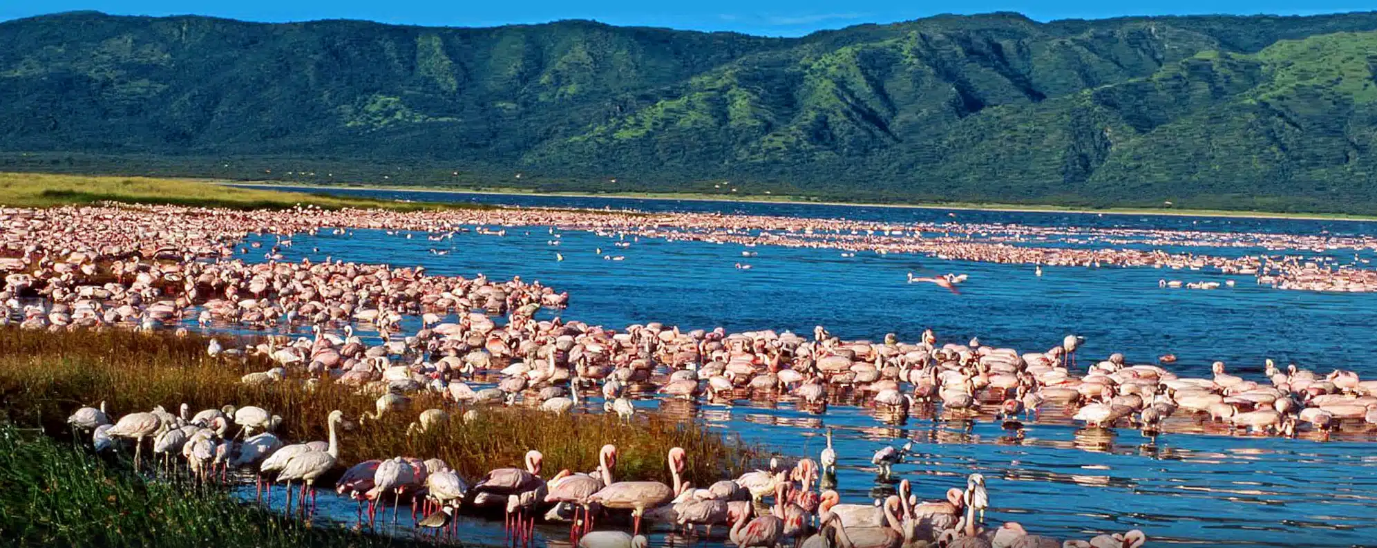 Kenya tour package with national parks and game drives