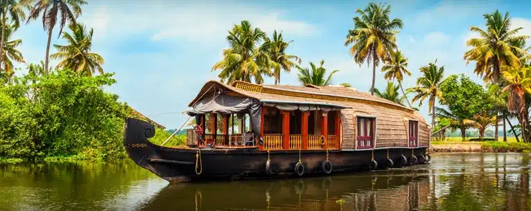 India travel guide: Everything U.S. travellers need to know before visiting