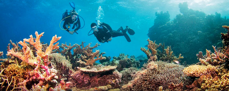 Australia tour packages from India