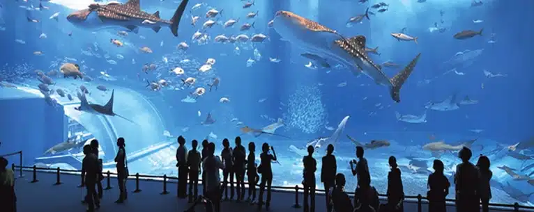 Monaco travel package