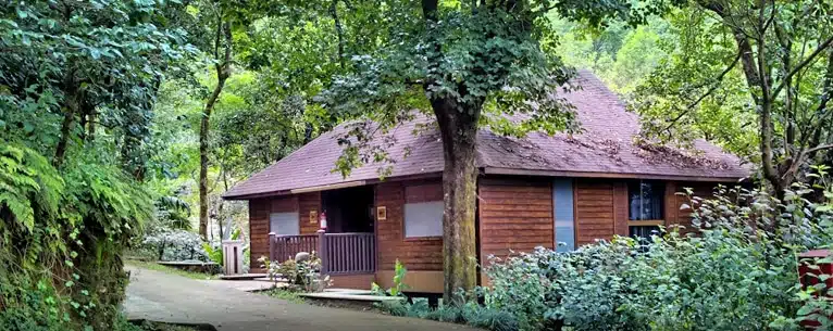 Top pet-friendly resorts in India