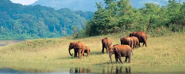 India private luxury tours: Tailored with perfection