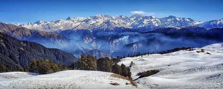 Valley of flowers in winter: Alternative destinations and peak bloom guide