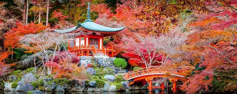 Japan visa approval process for Indian travellers step by step