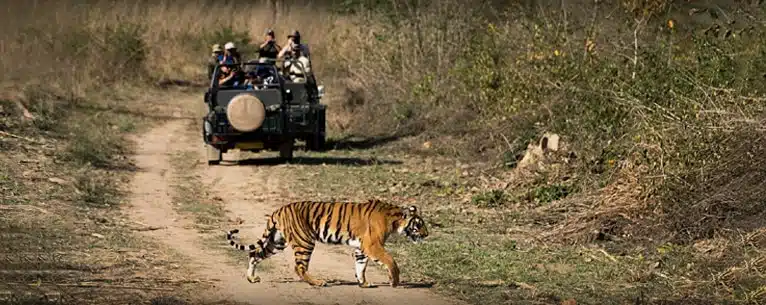 India tour packages from Kerala