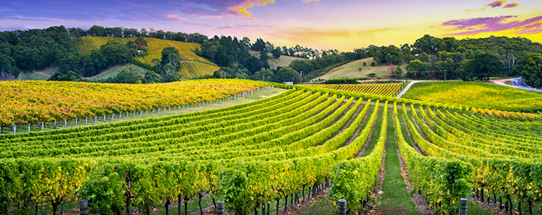 Australia tour packages from India