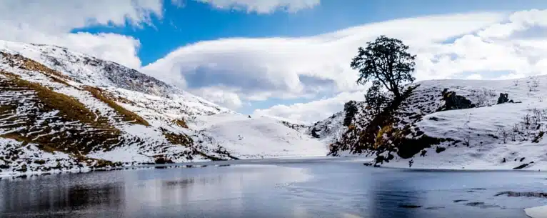 Valley of flowers in winter: Alternative destinations and peak bloom guide