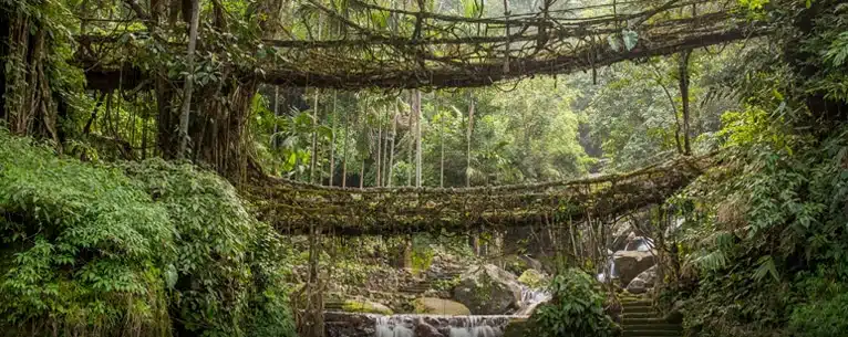 India tour packages from Kerala