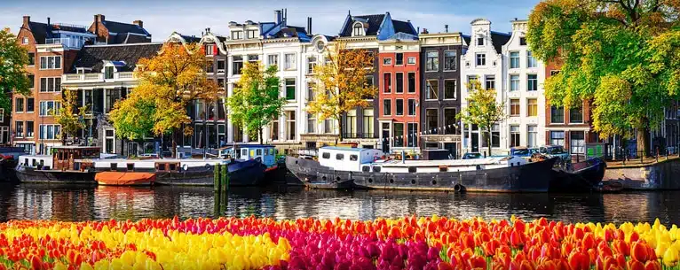 Netherlands tulip travel guide