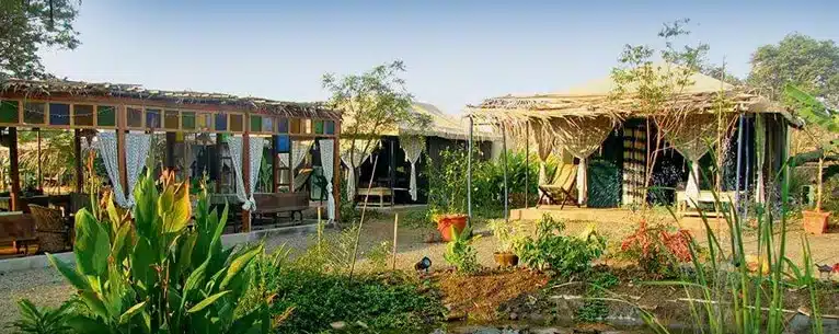 Top pet-friendly resorts in India