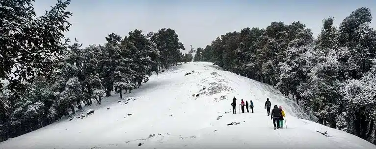 Valley of flowers in winter: Alternative destinations and peak bloom guide