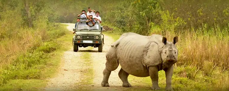 India travel guide: Everything U.S. travellers need to know before visiting