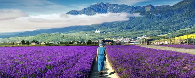 Japan tour packages from Kolkata – Best deals, itinerary & travel tips