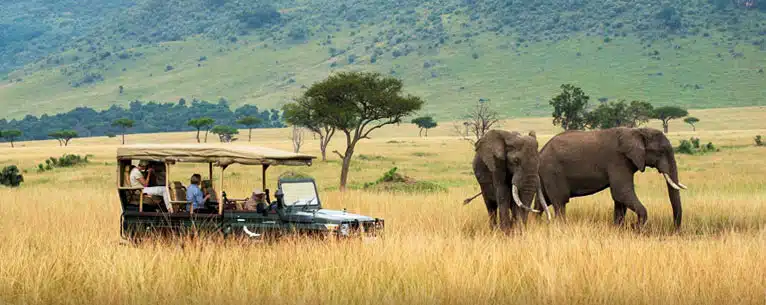 Leisure Trip: The ultimate guide to relaxation and stress-free travel