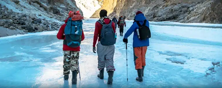 Valley of flowers in winter: Alternative destinations and peak bloom guide