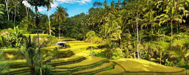 Best Bali romantic packages for Indian couples