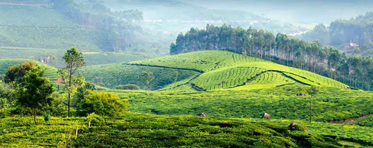 India travel guide: Everything U.S. travellers need to know before visiting