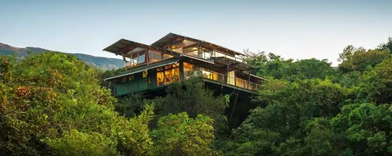 Top pet-friendly resorts in India