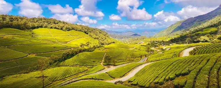 India tour packages from Kerala