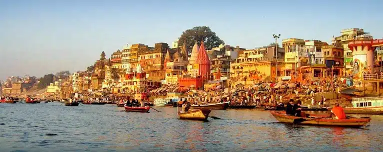 Top Guided Tours in India – Explore the country with expert insights