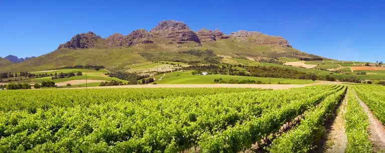 Leisure Trip: The ultimate guide to relaxation and stress-free travel