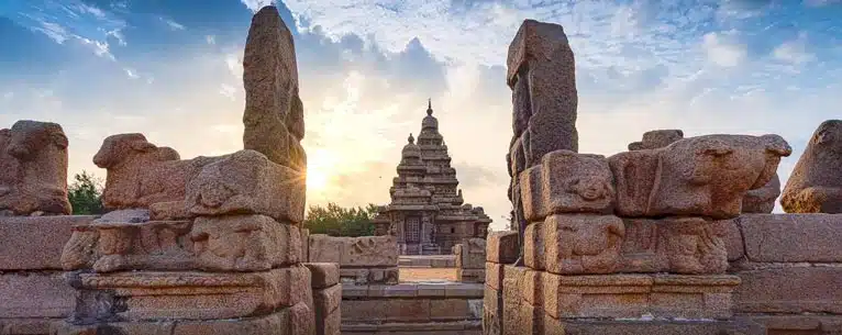 Top Guided Tours in India – Explore the country with expert insights