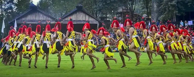 Top Guided Tours in India – Explore the country with expert insights