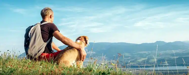 Top pet-friendly resorts in India