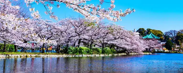 Japan tour packages from Kolkata – Best deals, itinerary & travel tips