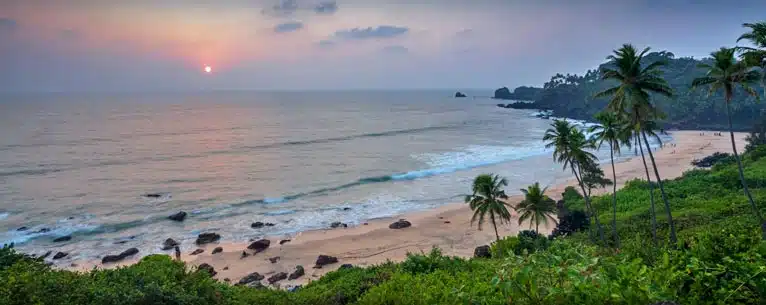 Top Guided Tours in India – Explore the country with expert insights